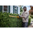 DeWALT DCHT870B 60V FLEXVOLT 26" Brushless Hedge Trimmer - Bare Tool