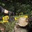 DeWALT DCCS670X1 60V MAX FLEXVOLT 16" 3.0Ah Brushless Lithium-Ion Chainsaw Kit